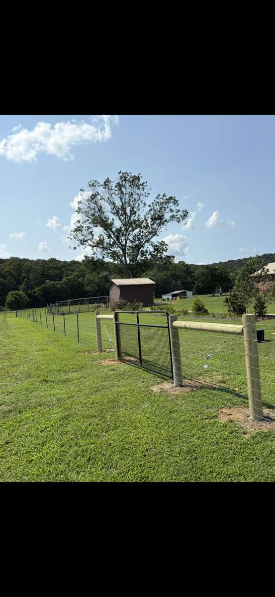 Woven wire field fence with gate