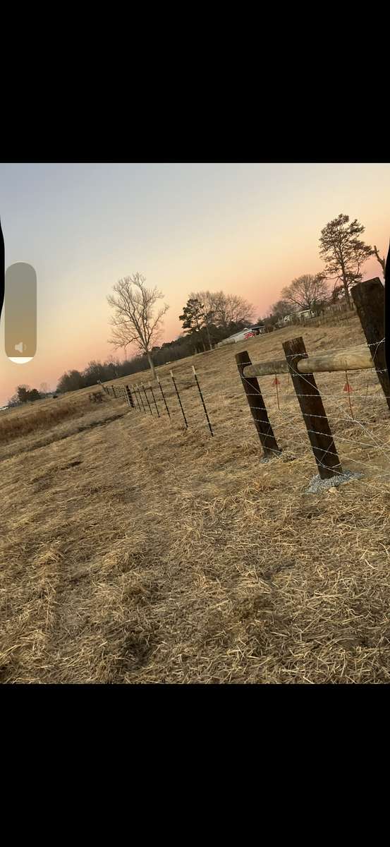 Barbed wire fence at sunset